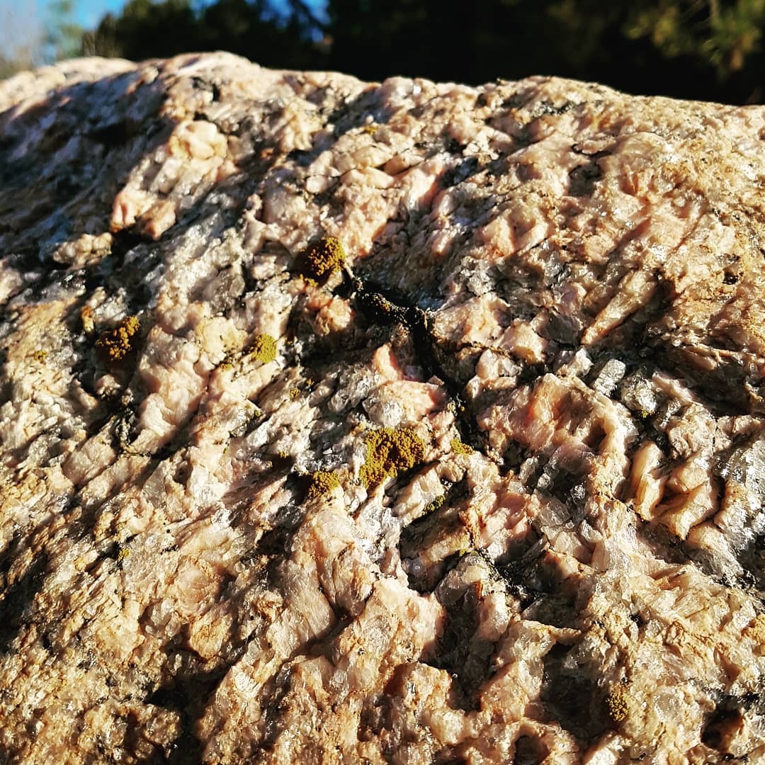 Quartz lichen of Finland